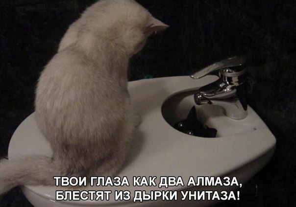 Отовсюду понемногу