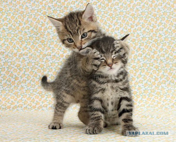 Больше, чем фото