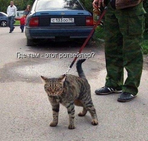 Подборка интересных и веселых картинок