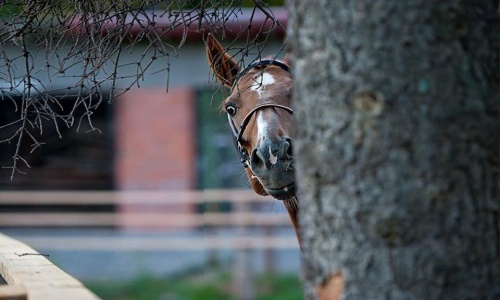 Подборка интересных и веселых картинок
