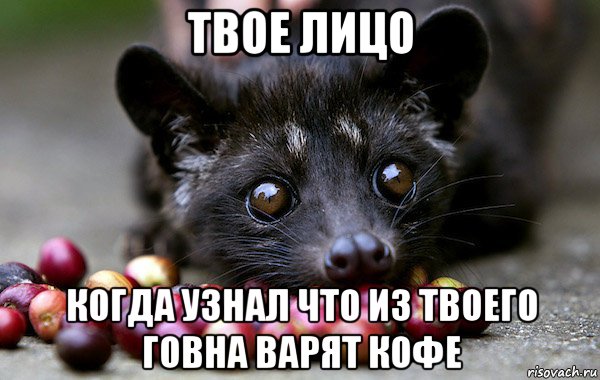 Отвратительные, но невероятно дорогие вещи