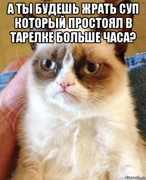 Купил котам корм в виде желе