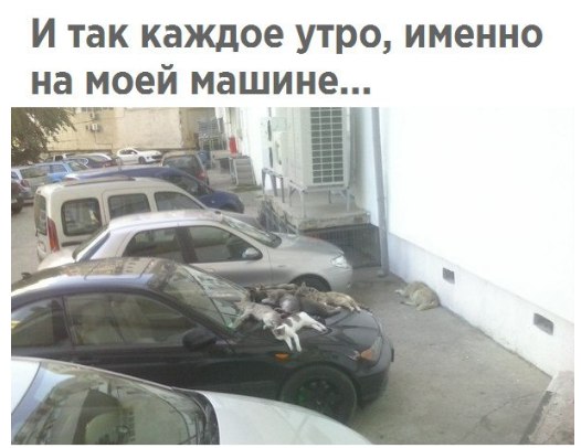 Соцсети - и смех и грех
