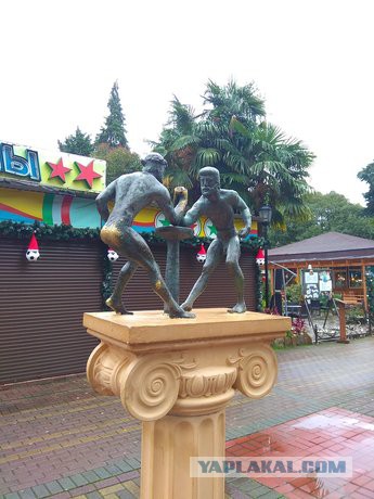 Подборка интересных и веселых картинок