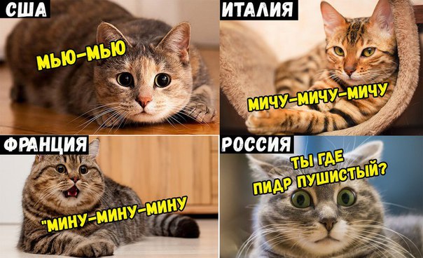 Глазки от работы отрывайте, на картинки повтыкайте!