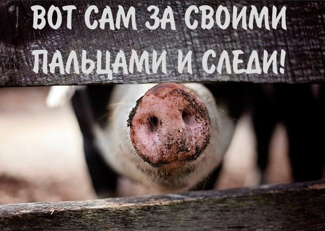 Древний инструмент
