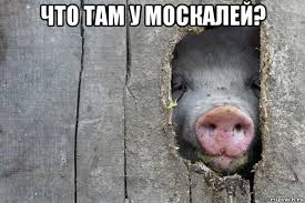 Румыния заберет территорию Украины