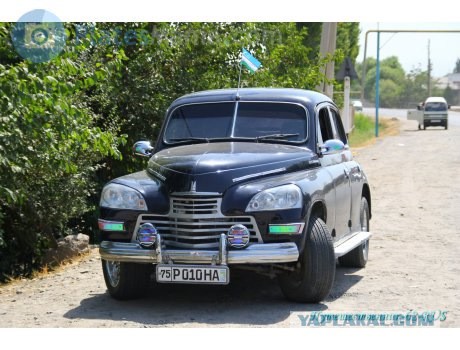 Автоподборка «Золотые руки из задницы»