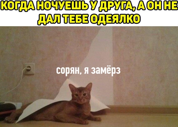 Картинки всякие 06.12.20