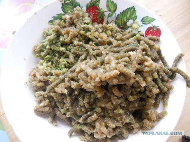 Аджика зелёная