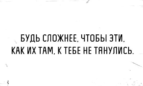 Нуштош 15.08.2023