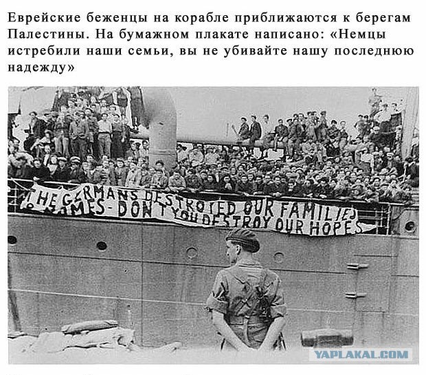 Палестина, или тема, от которой я устал
