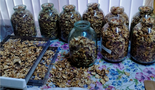 Путин предложил возродить традицию рожать россиянам по 7-8 детей