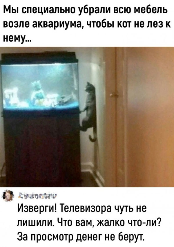 Суббото-баяно-лар