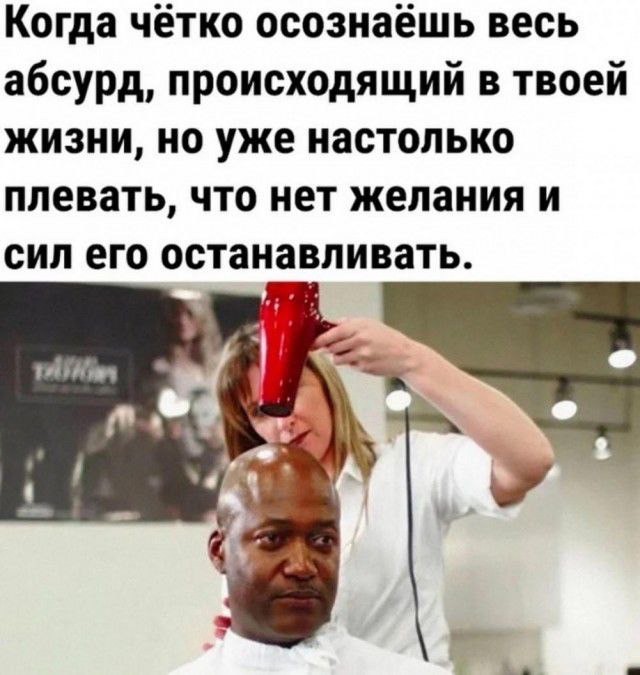 Немного забавных картинок от 11.09.2024