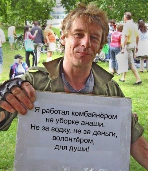 Зачем Россию собираются засадить "революционным" растением – мискантусом