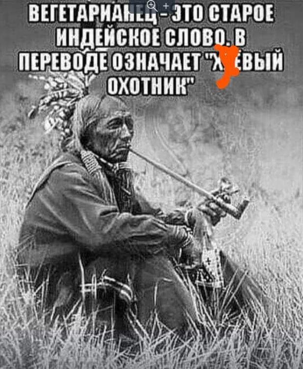 Прикольные и просто красивые картинки