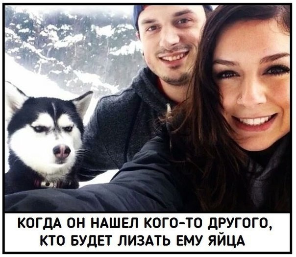 Пятничная дичь