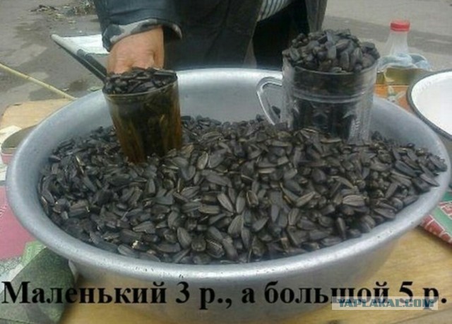 Так себе картинки 06.07.25