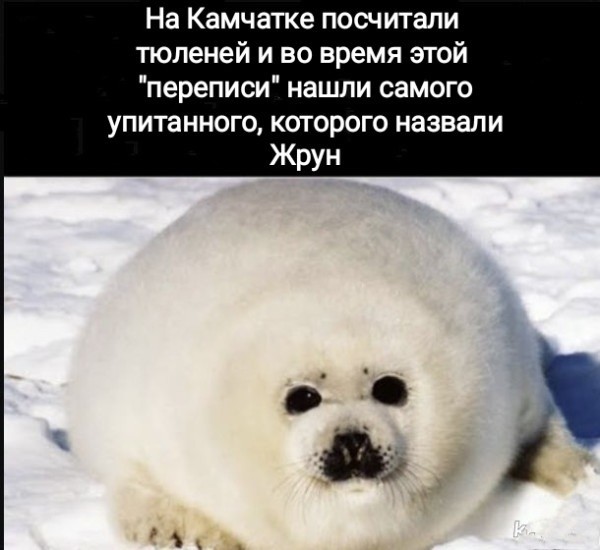Понедельник наступил