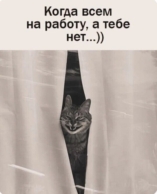 Вторника картинки