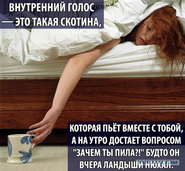 Новый год , подготовка.