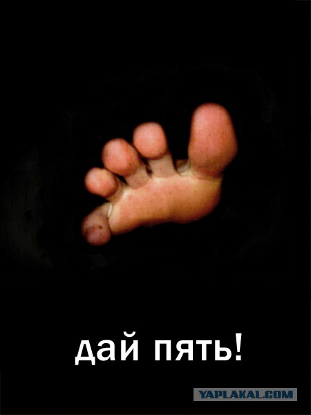 ладонь приветствие. дай пять. хай приветствие. надпись дай пять. тайное приветствие друзей.