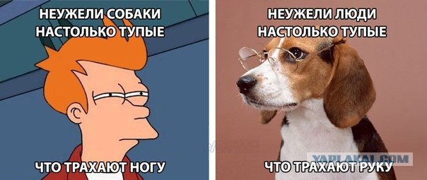 Смешные картинки из соц. сетей.