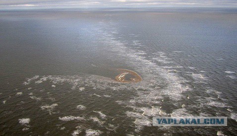 В Северном Ледовитом океане открыт новый остров