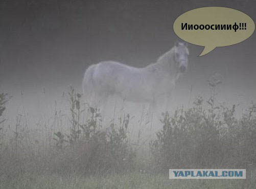 Иосиф