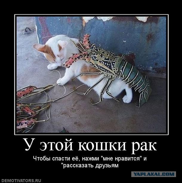 Трахнул, чтобы спасти от рукоблудия Трахнул, чтобы спасти от рукоблудия