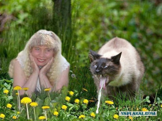 «Шедевры» фотошопа на странице в Facebook