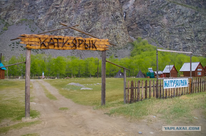 Кату Ярык Алтай каменные грибы