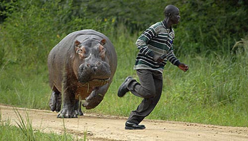 Я, конечно, не волчок... но за бочок тоже могу!