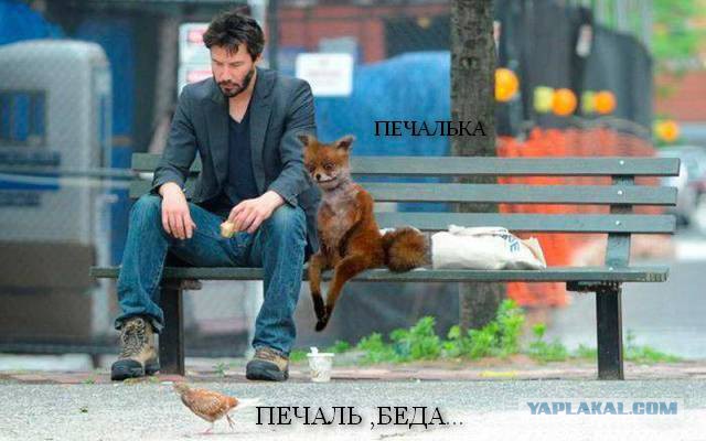 "О вреде языкознания" или рогоносец