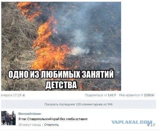 Комментарии, подписи, текстовые приколы