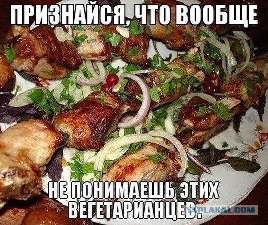 У вегана бомбануло