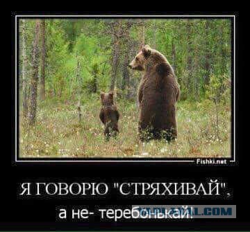 Подборка интересных и веселых картинок