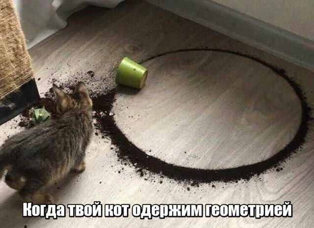 Приколы в стиле "регресс"