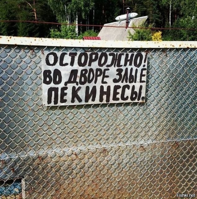 Витрины советских магазинов