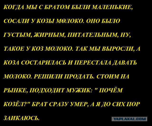 Смешные комментарии из социальных сетей 16.02.2018