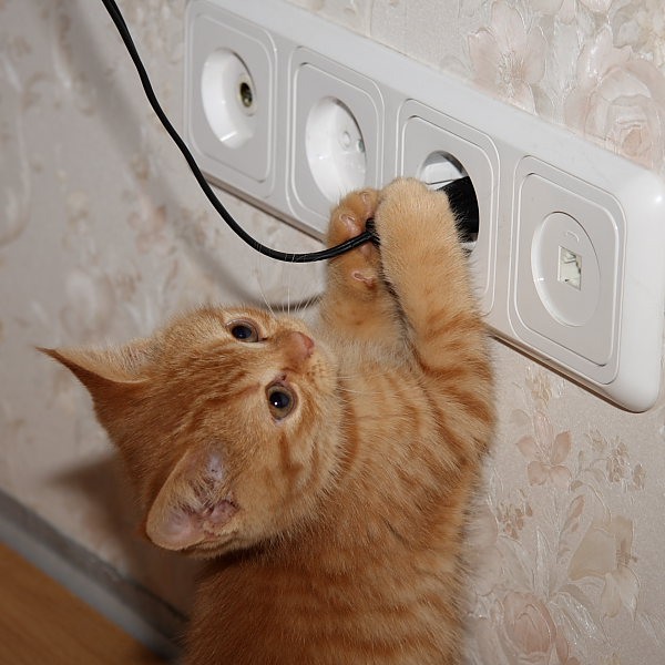 Включи картинки посмотреть