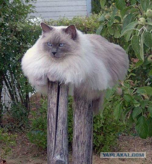 КОТовторник 13.04.2010г.