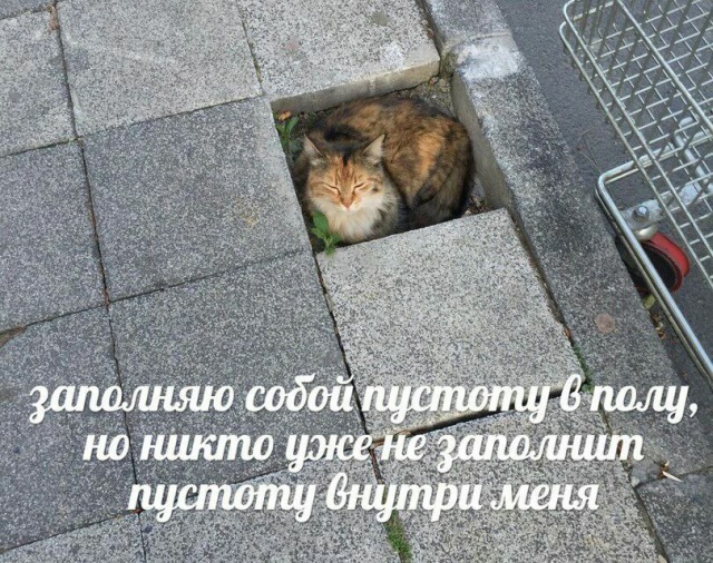 Немного милоты