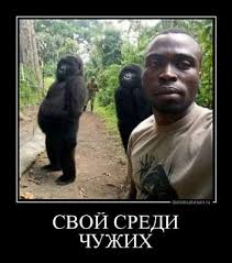 Заседание клуба аморалов объявляется открытым