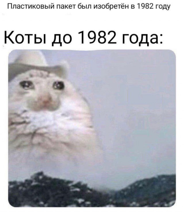 Не очень адекватный юмор