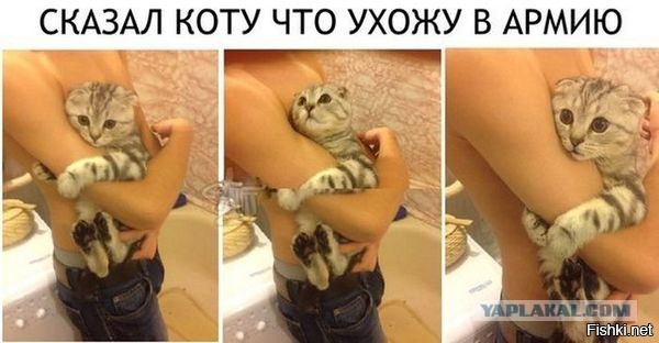 Немного картинок и демотиваторов со старого винта
