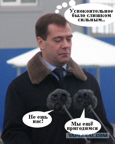 Фотожаба: Кто мои бубончики оторвал?!
