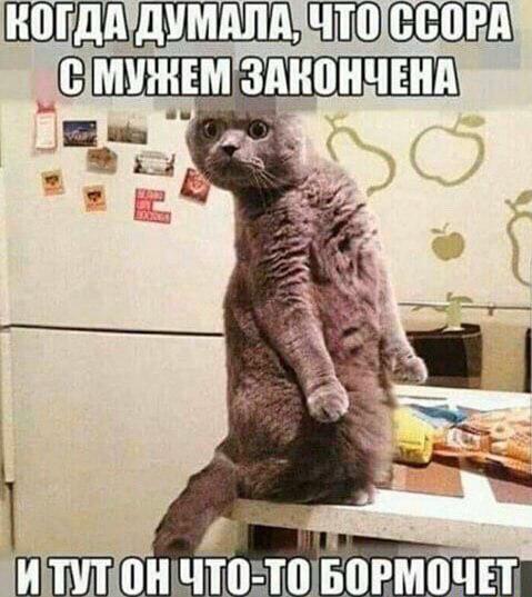 Бредзона 14.12.20
