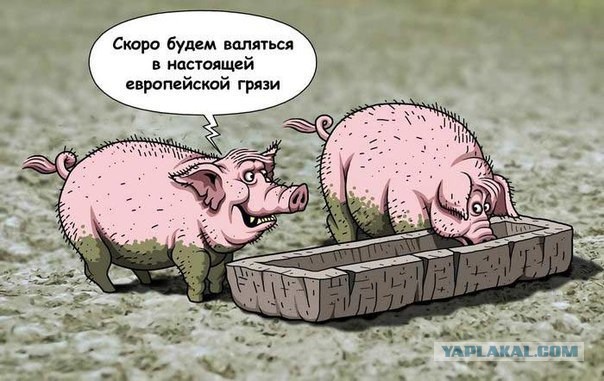 Украина. Началось